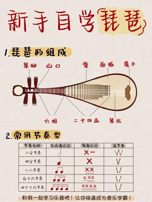 小白自学琵琶入门太难一次带你快速入坑