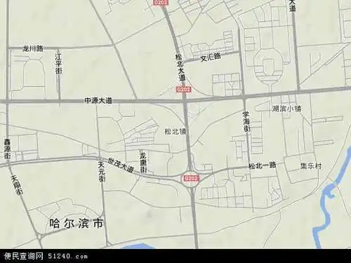 中国黑龙江省哈尔滨市松北区松北地图(卫星地图)