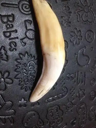 朋友的虎牙,不知道真假,求各位大师给辨别下.