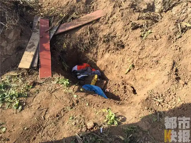 高陵菜地挖出一具男童尸体 警方已展开调查