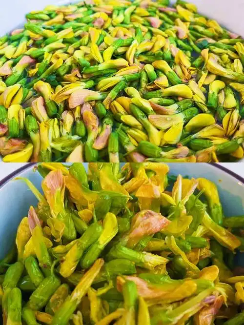 金雀花-春日必吃美食,下饭神菜