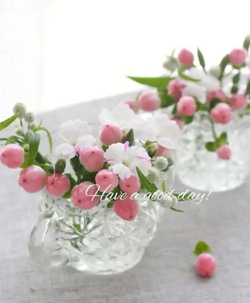 最近发了一遍文章介绍红果金丝桃~大家很感兴趣哈,谢谢各位小红薯的