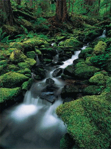 gif动画素材:溪流瀑布