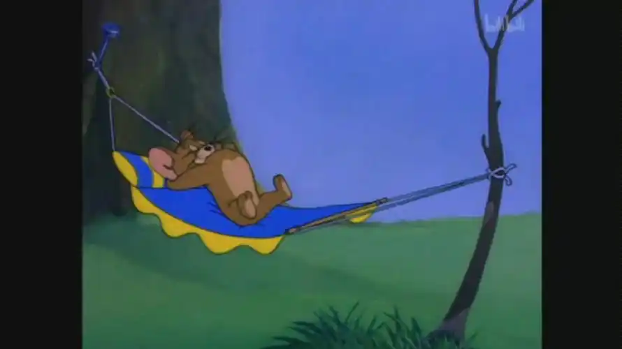 猫和老鼠明场面致我的童年