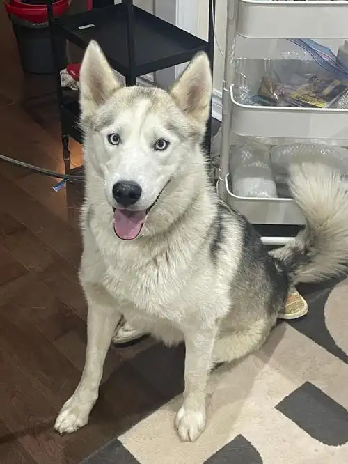 literally我就po了两分钟就有主人邻居来联系啦!