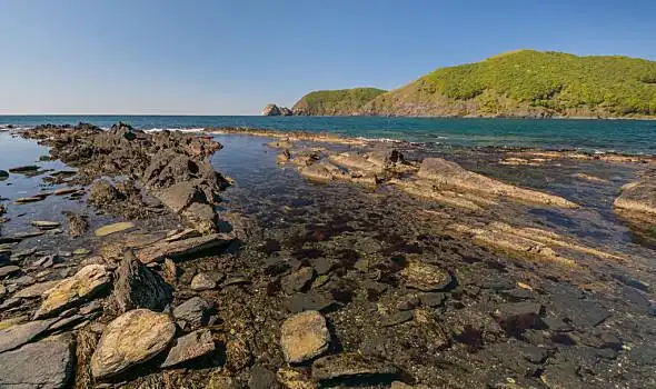 海洋,夏天,俄罗斯
