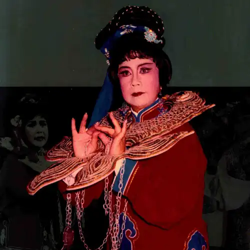 戚雅仙越剧经典剧目唱腔集萃