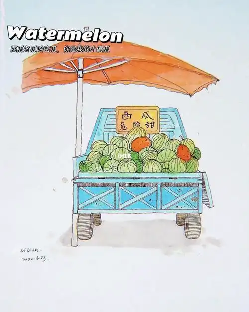 这个夏天开始学习淡彩 却还没有画过一次西瓜 图一线稿 图二上色 太