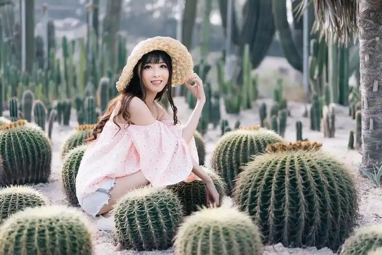仙人掌女孩