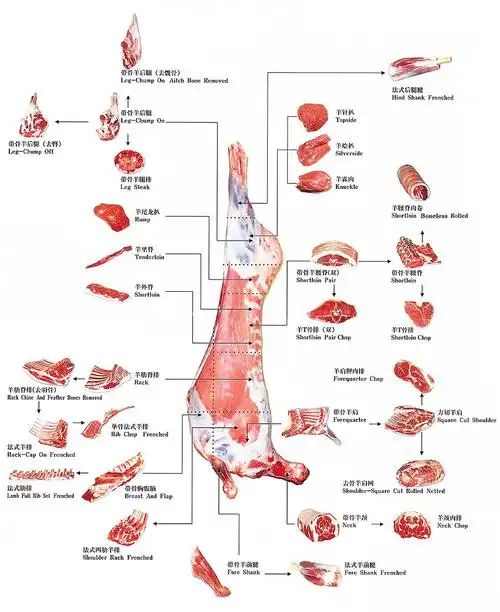 来杯茶聊聊羊文化