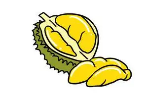 芒果榴莲简笔画