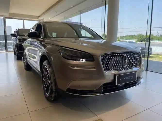 稀缺资源冒险家尊享冰咖棕