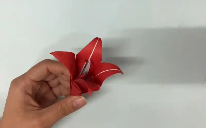 萱草花 花卉折纸教程