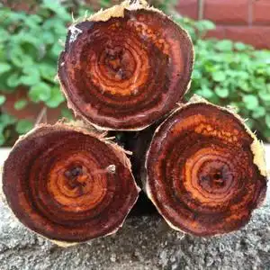 缅甸藤香木降香藤花梨藤对眼料手串佛珠料媲美海南越南黄花梨木料