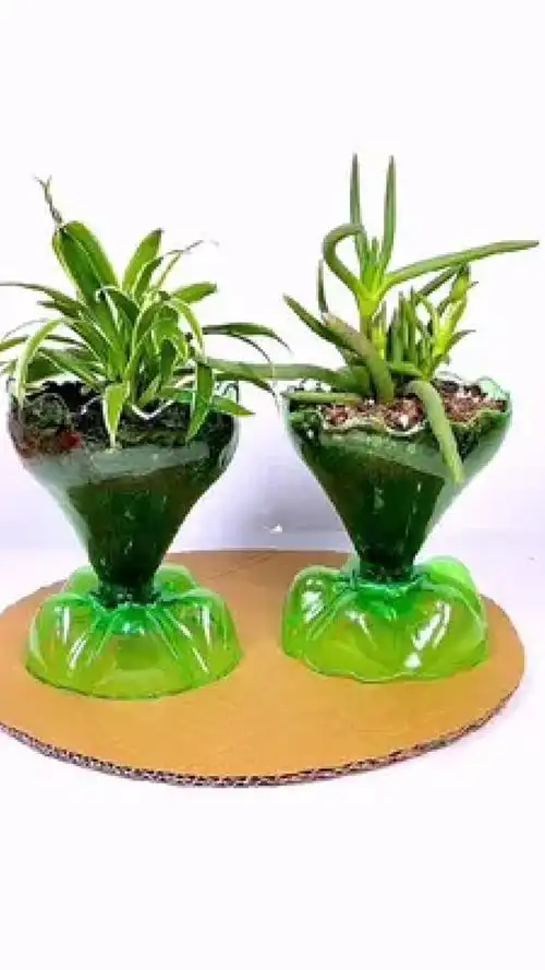 做个花盆摆在家里很好看#变废为宝 #自制花盆 #手工 #塑料瓶变废为宝