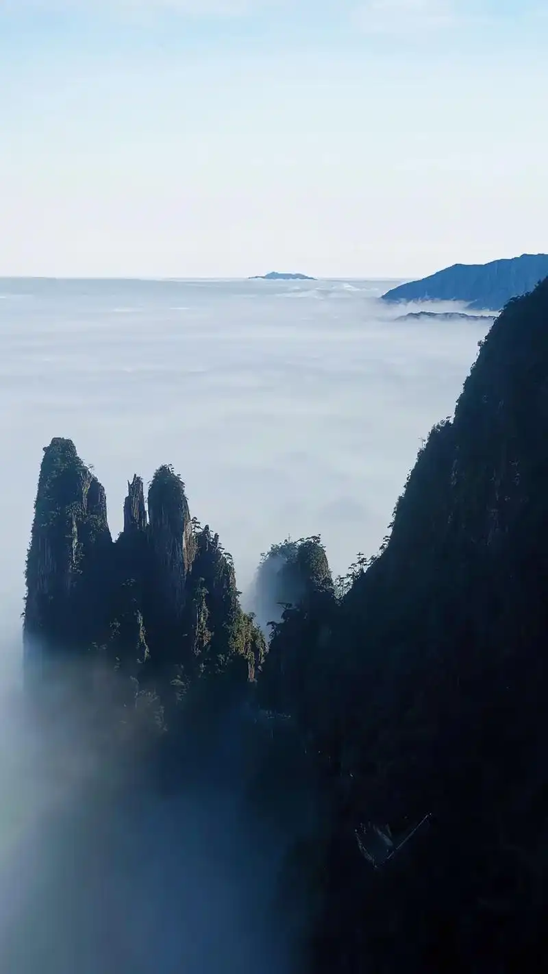 "中国南脊·湘粤莽山",莽山·五指峰景区