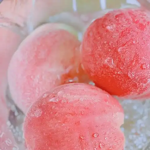 一颗水蜜桃就能挤出一杯桃汁