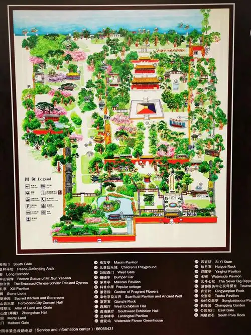 慢步中山公园手机随拍