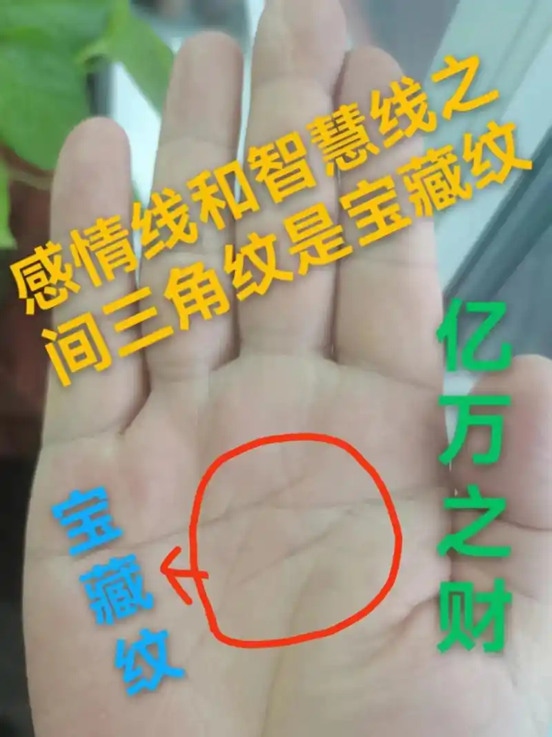 掌纹 #掌纹的秘密 #暴富#旺夫女人 #感情  感情线和智 - 抖音