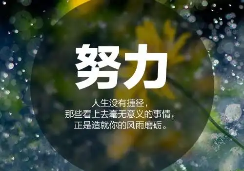 激励人上进的心灵鸡汤句子