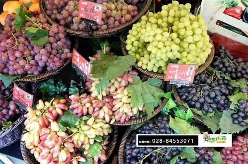时时果蔬葡萄