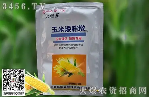 2020年春玉米什么时播种好高产玉米种介绍