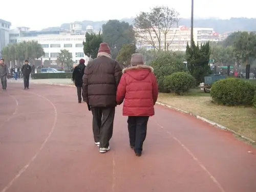 爱情就是白头偕老        蹒跚着牵着手 如同冬季清晨盛开的雪莲花