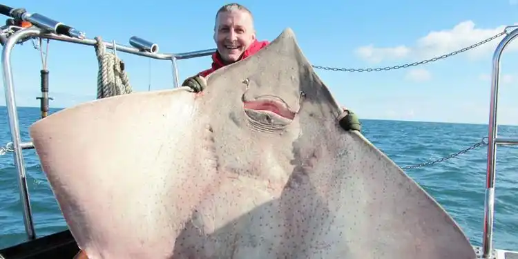 公认最臭美食,全身都是尿骚味,韩国人居然吃的津津有味!