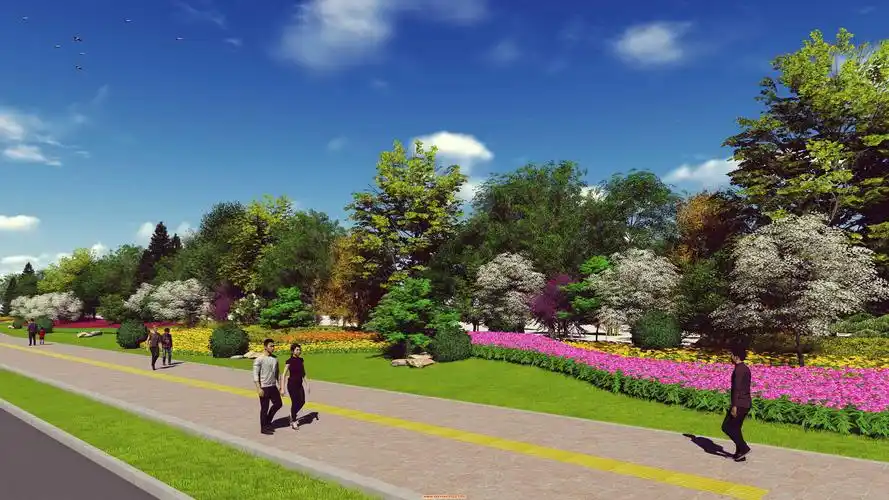 0道路两侧绿化效果