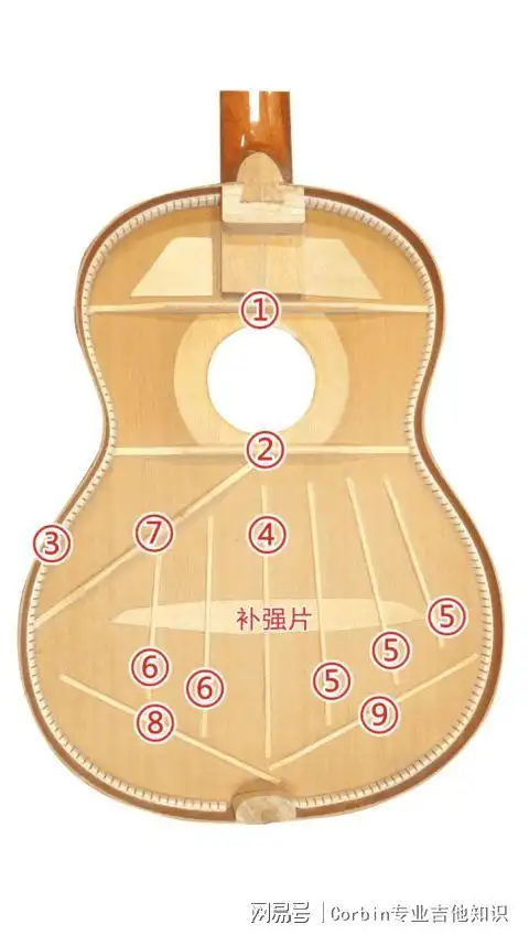 古典吉他与民谣吉他为什么不能共用内部结构|张力|琴弦_网易订阅
