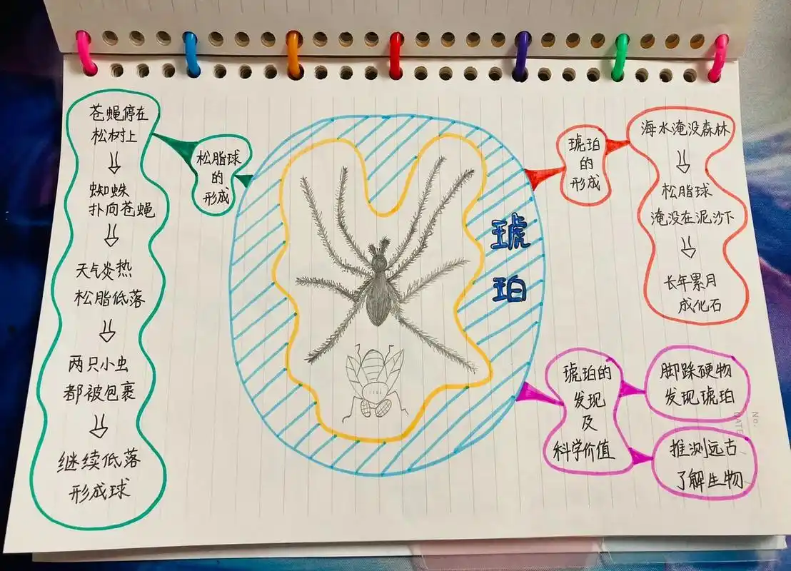 四下语文 第五课 琥珀 思维导图 人教版 四级语文(下册) 第五课 琥珀