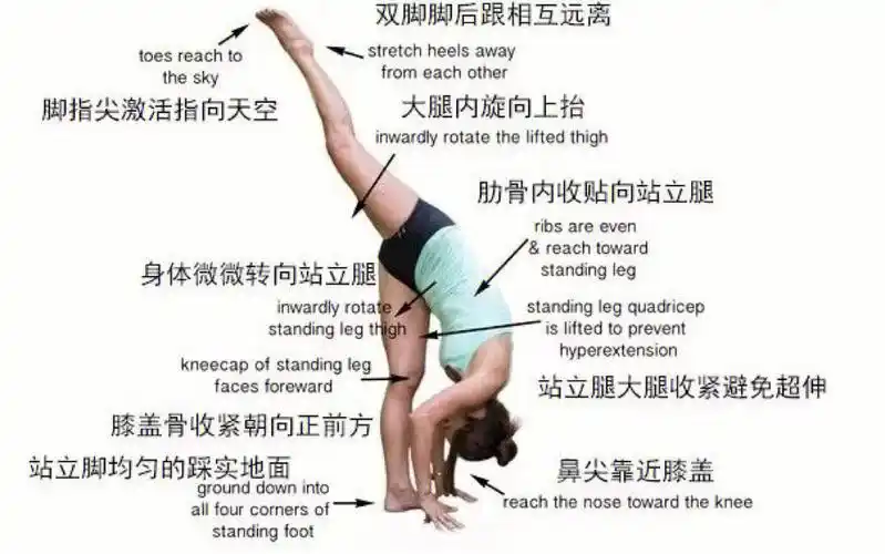 单腿脊柱前屈伸展式 standing split