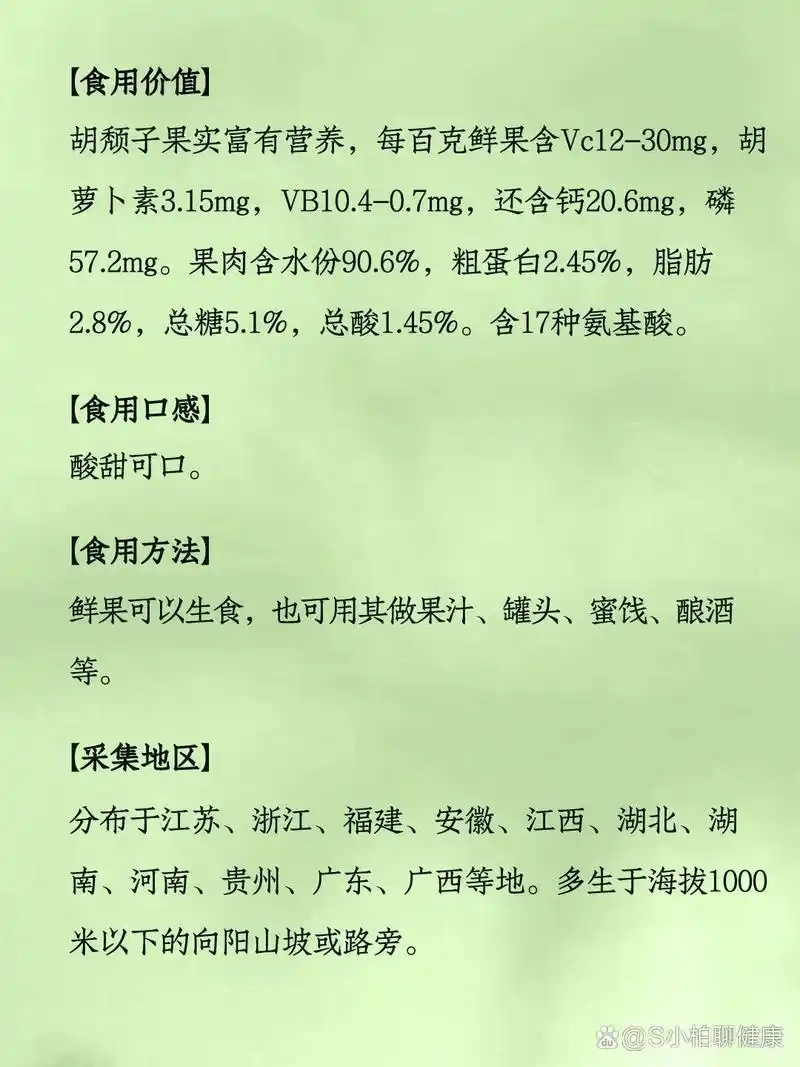 007|羊奶果 春天山林里的一种酸甜野果 7715 【最佳食用】2-4月份