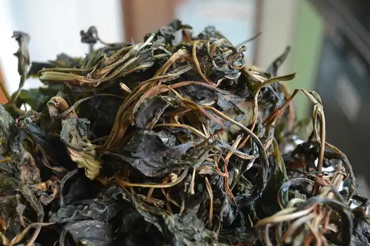 16年新货 粤北山区野生苦斋婆苦斋菜 野菜干 一斤装 包邮苦斋菜干