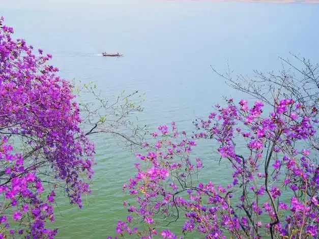 【看江城】吉林市推出2024年踏青品鱼十佳精品线路