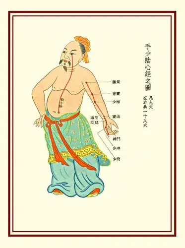 手厥阴心包经图