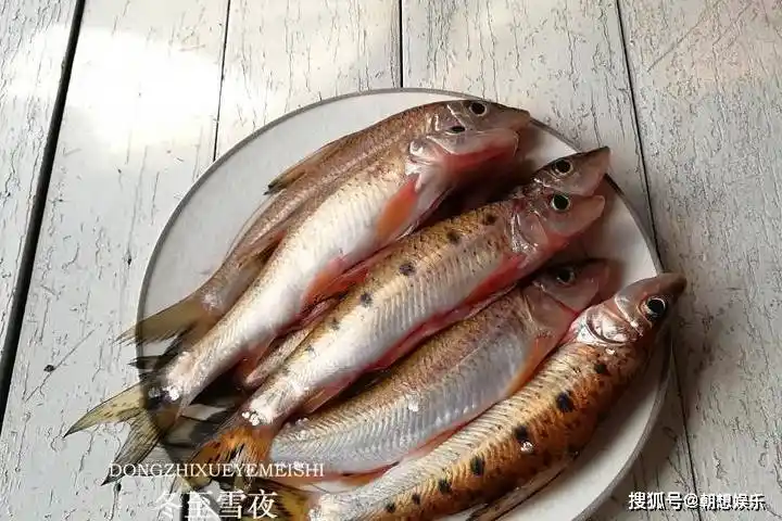 东北最有名的酱焖季花鱼用大酱炖出来的鱼有种酱香味