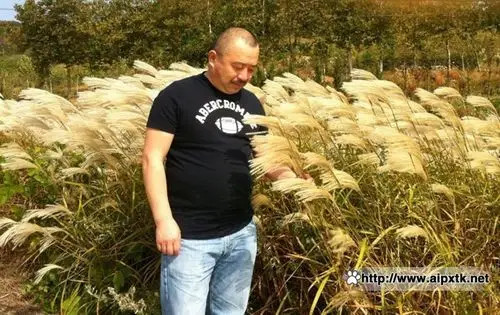 【转载】胡子中年熊