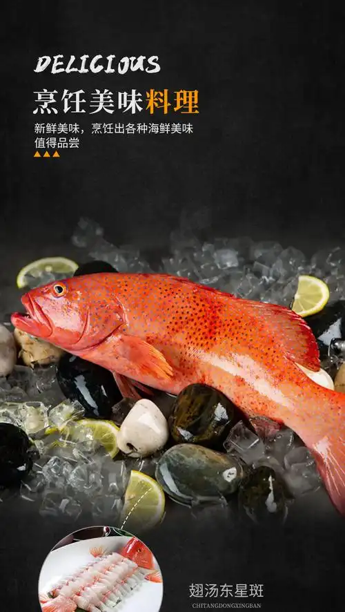 【活鲜】桃西村蒋鲜生深海东星斑鱼石斑鱼深海鱼海鲜水产鱼类 650-750