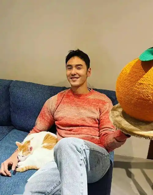 阮经天渣男洗白?姚安娜资本咖?杨幂带亲爹进圈?向佐执着拍戏?