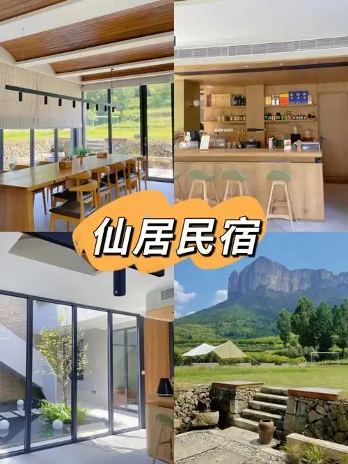 仙居乐屿民宿77淡竹林