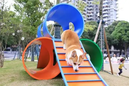 里的星宠乐园正在逐步完善中,目前已经设有宠物便民箱和宠物游乐设施