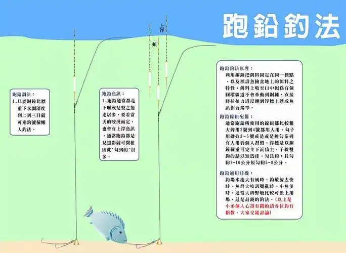应对不同鱼情的铅坠钓法