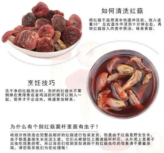 红菇_上山_味道