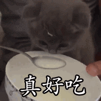 真好吃gif动图_动态图_表情包下载_soogif