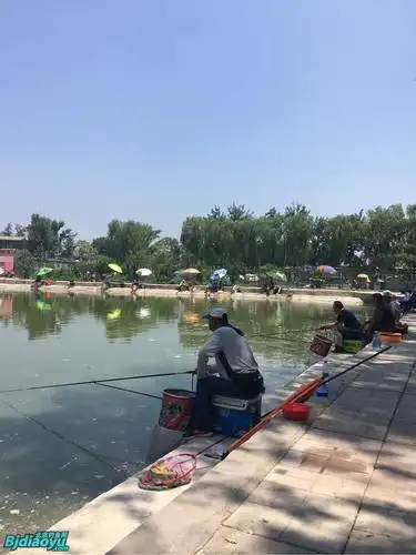 景坤园垂钓园下周鱼讯