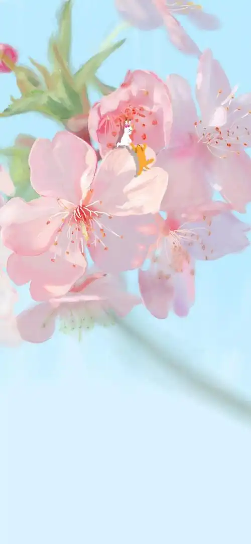 1600_3465竖版 竖屏