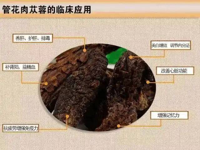 肉苁蓉灭酶切片相比普通切片有什么区别怎么吃