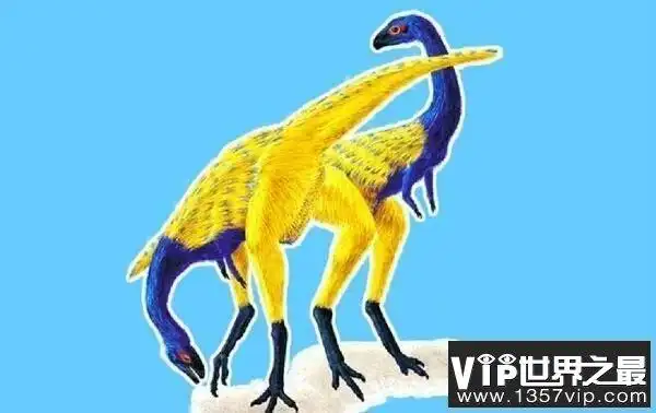 齿河盗龙:大盗龙科食肉恐龙,小头龙幼崽的天敌(2)