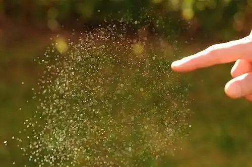 肥皂泡破裂的瞬间